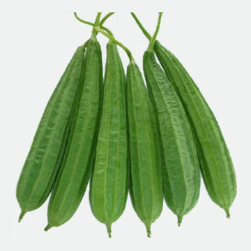 Gourd Seeds – Ridge 