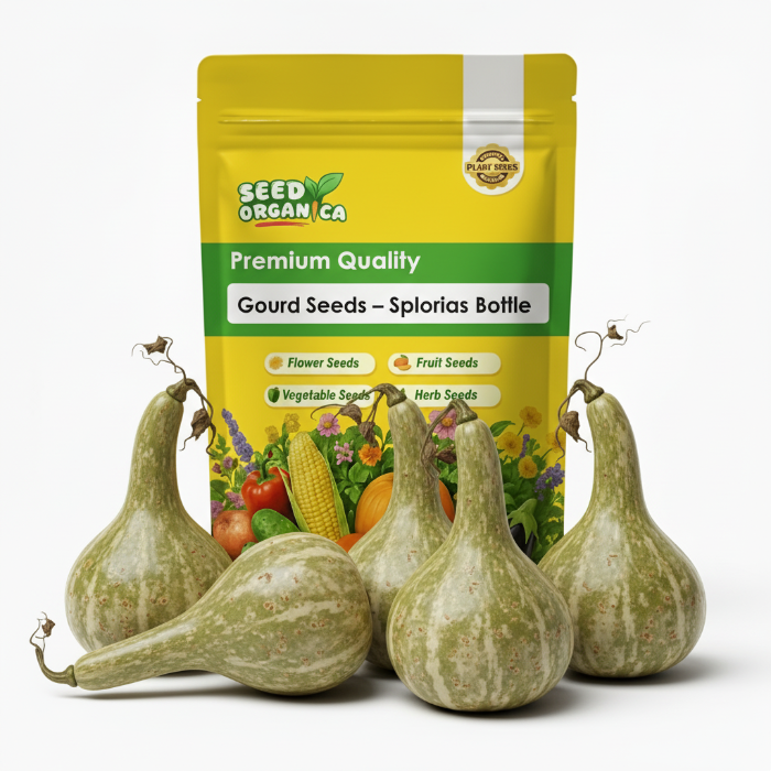 Gourd Seeds – Splorias Bottle