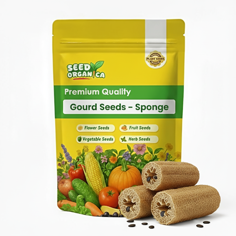 Gourd Seeds – Sponge