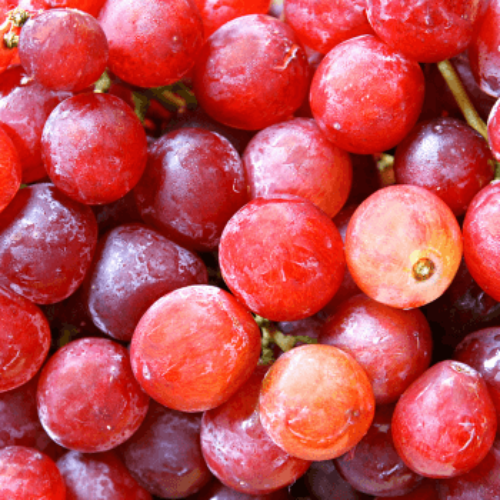 Grape Seeds – Giant Red 