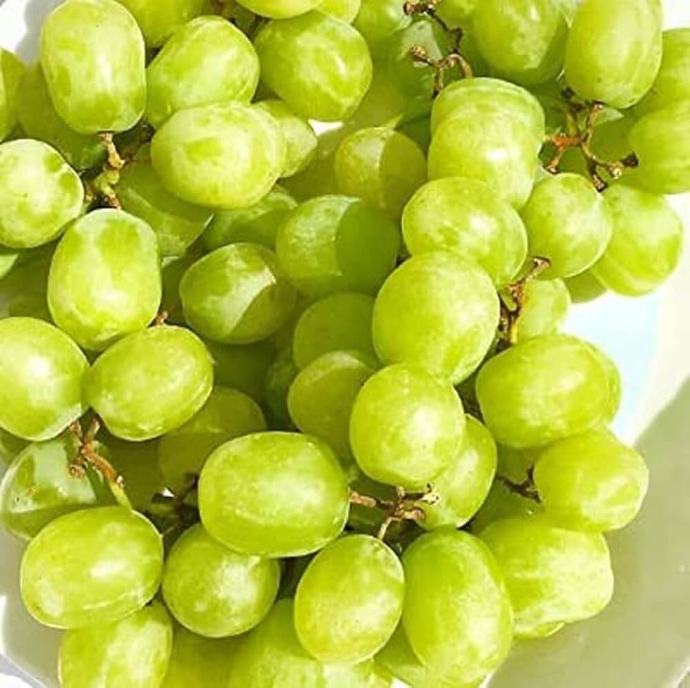 Grape Seeds – Cotton Candy