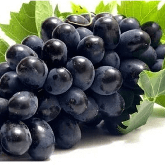 Grape Seeds – Midnight Beauty