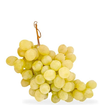 Grape Seeds – Yellow