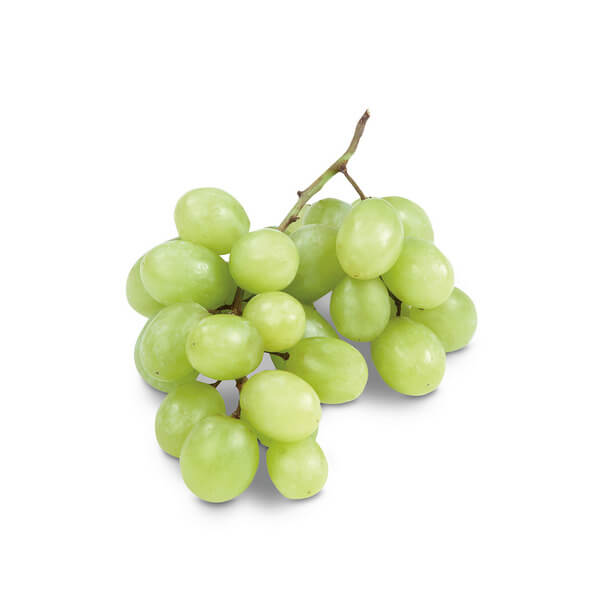 Grape Seeds – Cotton Candy