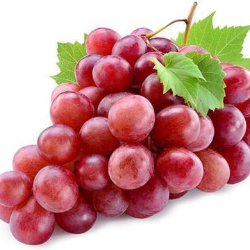 Grape Seeds – Giant Red Globe Variety

