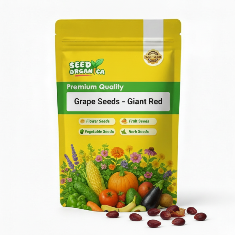 Grape Seeds – Giant Red