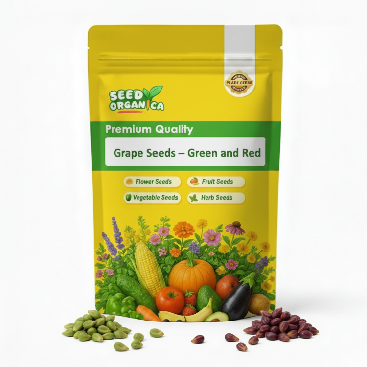 Grape Seeds – Green and Red