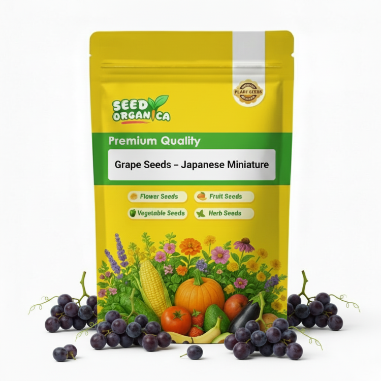 Grape Seeds – Japanese Miniature
