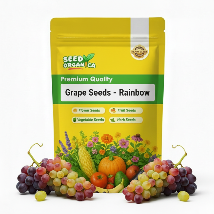 Grape Seeds – Rainbow