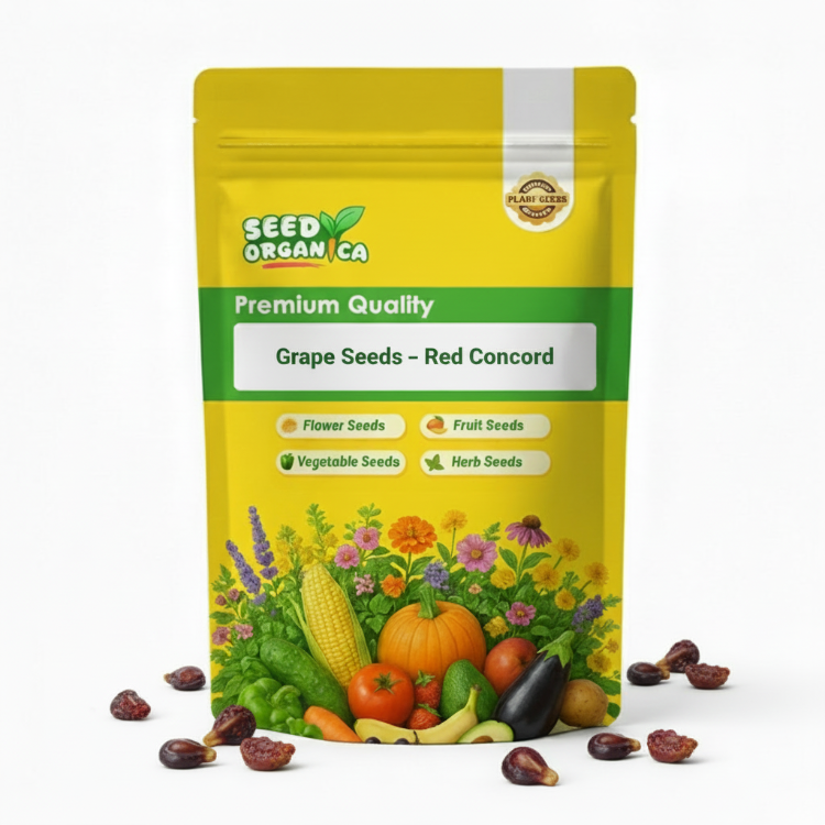 Grape Seeds – Red Concord