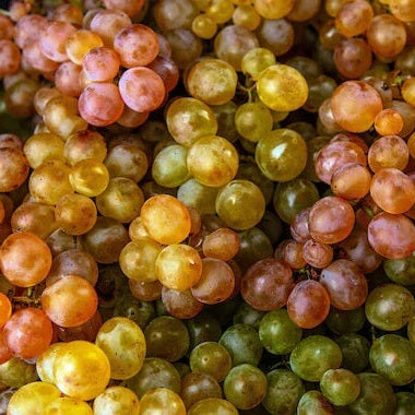 Grape Seeds – Wine Mixed