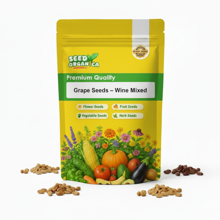 Grape Seeds – Wine Mixed