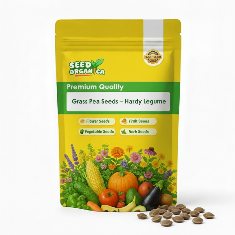 Grass Pea Seeds – Hardy Legume