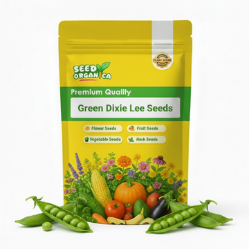 Green Dixie Lee Seeds