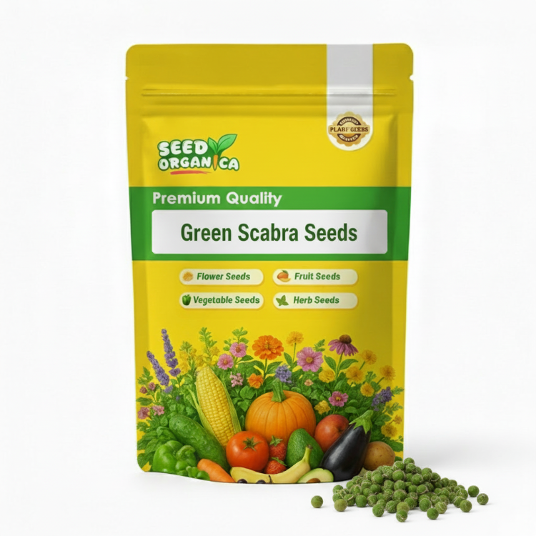 Green Scallop Seeds