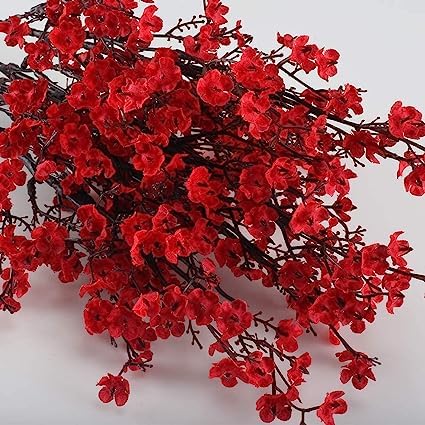Gypsophila Seeds – Dark Red