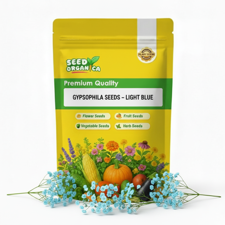Gypsophila Seeds – light Blue