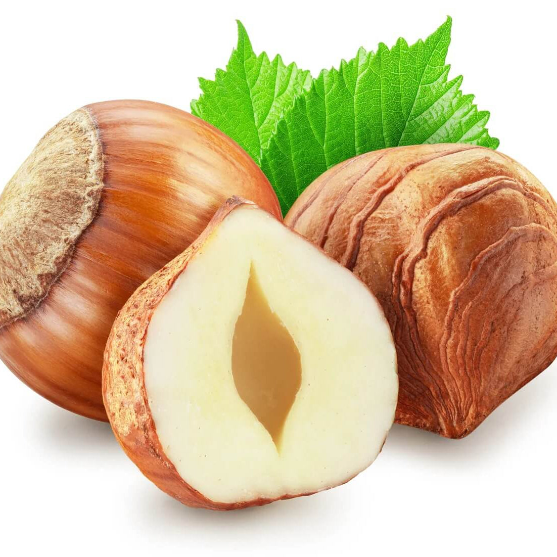 Hazelnut Seeds – European 