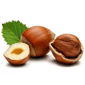 Hazelnut Seeds – European 