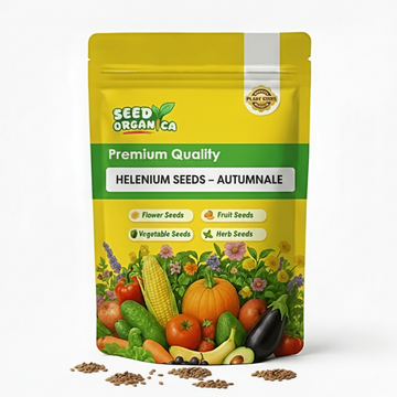 Helenium Seeds – Autumnale
