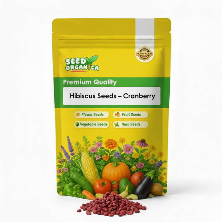 Hibiscus Seeds – Cranberry