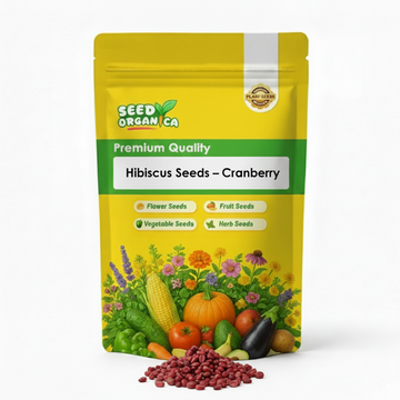 Hibiscus Seeds – Cranberry