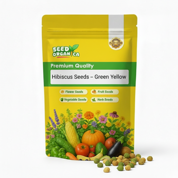 Hibiscus Seeds – Green Yellow