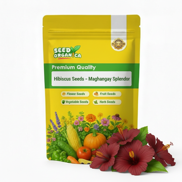 Hibiscus Seeds – Mahogany Splendor