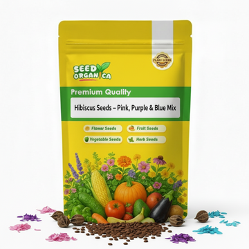 Hibiscus Seeds – Pink, Purple & Blue Mix