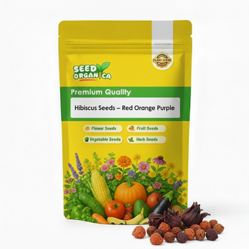 Hibiscus Seeds – Red Orange Purple