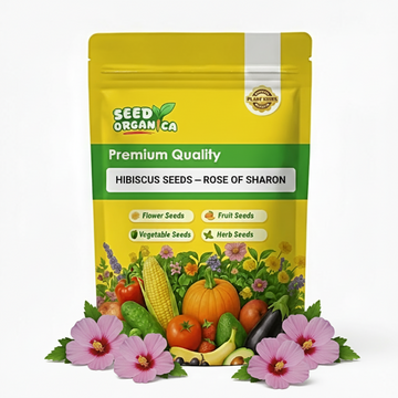 Hibiscus Seeds – Rose of Sharon