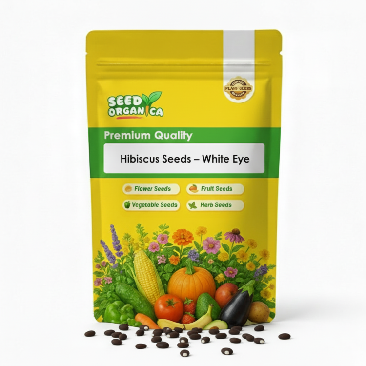 Hibiscus Seeds – White Eye