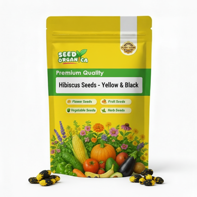 Hibiscus Seeds – Yellow & Black