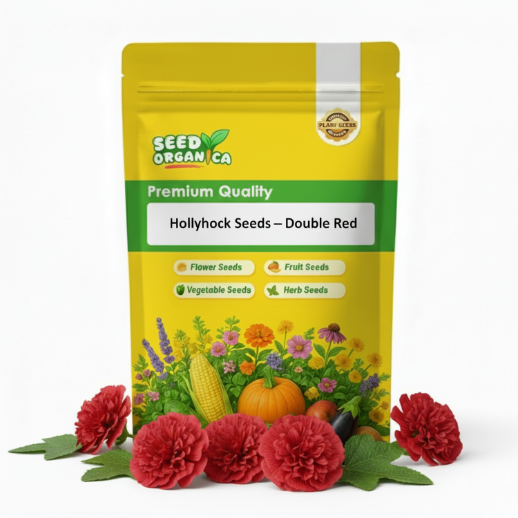 Hollyhock Seeds – Double Red