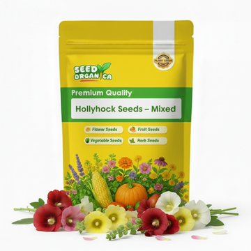 Hollyhock Seeds – Mixed