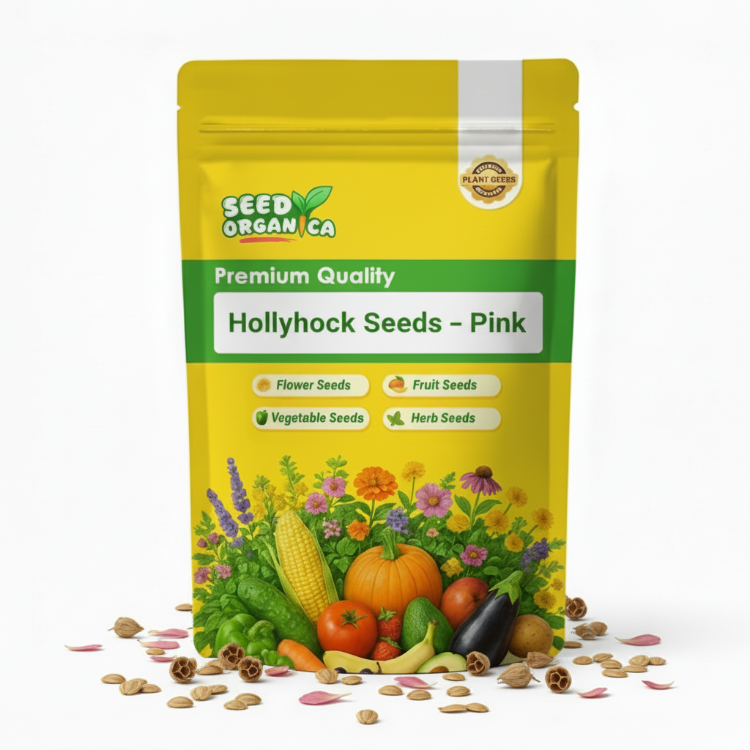 Hollyhock Seeds – Pink