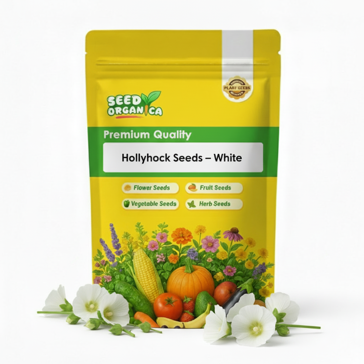 Hollyhock Seeds – White