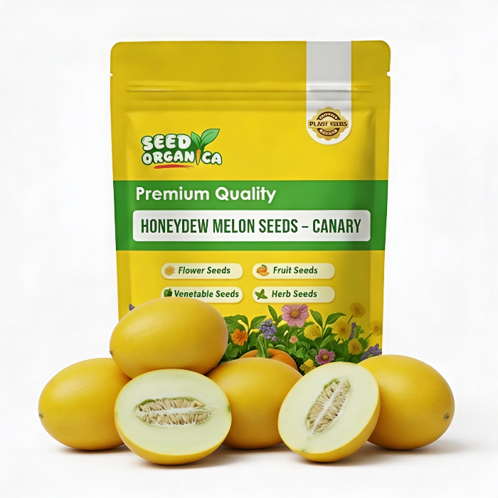 Honeydew Melon Seeds – Canary
