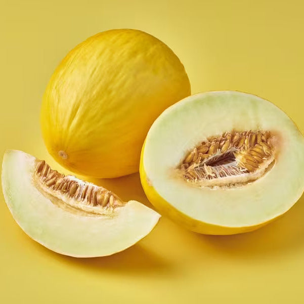 Honeydew Melon Seeds – Yellow