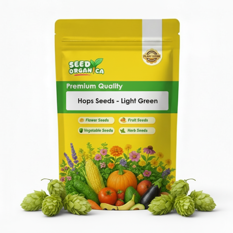 Hops Seeds - Light Green