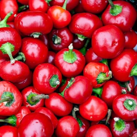 Hot Pepper Seeds - Red Cherry