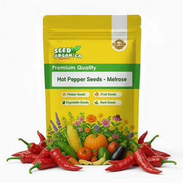 Hot Pepper Seeds - Melrose