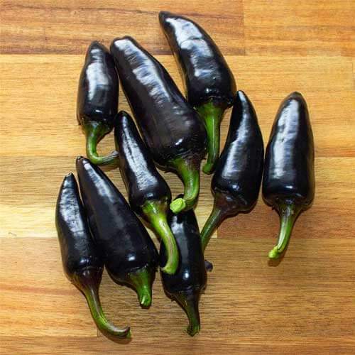 Hot Pepper Seeds – Black Chili