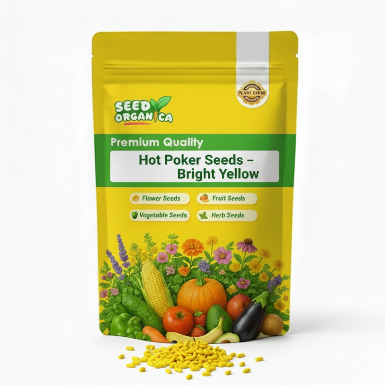 Hot Poker Seeds – Bright Yellow