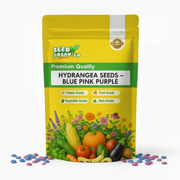Hydrangea Seeds – Blue Pink Purple