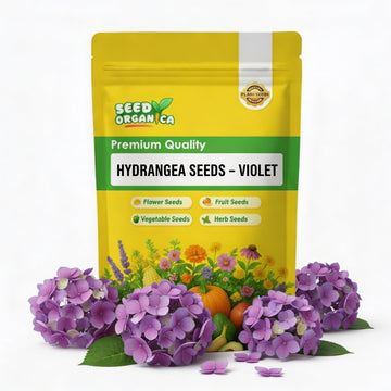 Hydrangea Seeds – Violet