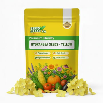 Hydrangea Seeds – Yellow