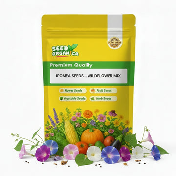Wildflower Mix Ipomea  Seeds – Flower Plant