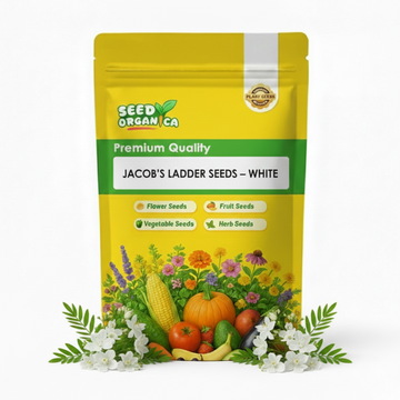 Jacob’s Ladder Seeds – White