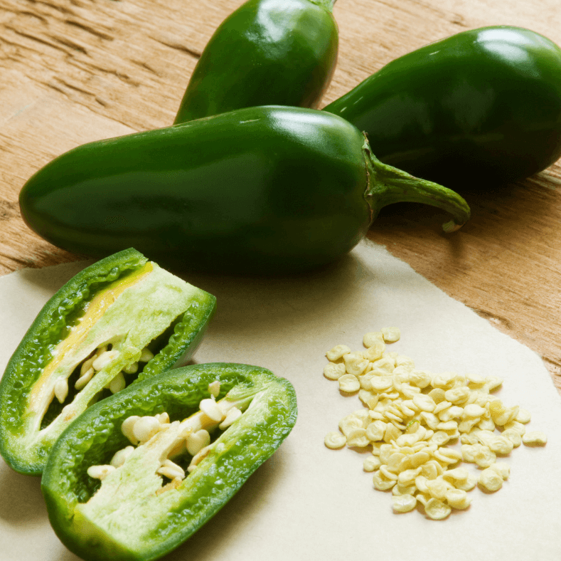 Jalapeño Seeds – Pepper